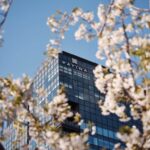 Japan Patina Osaka 1