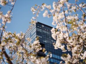 Japan Patina Osaka 1